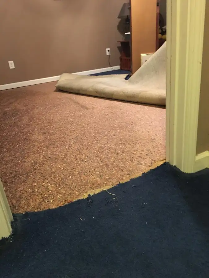 Carpet pad removal revealing water damage during Drying & Dehumidification in East Rochester