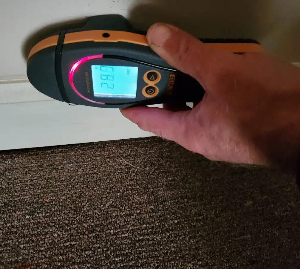 Moisture detection at baseboard during Sewage Cleanup & Sanitation in East Rochester