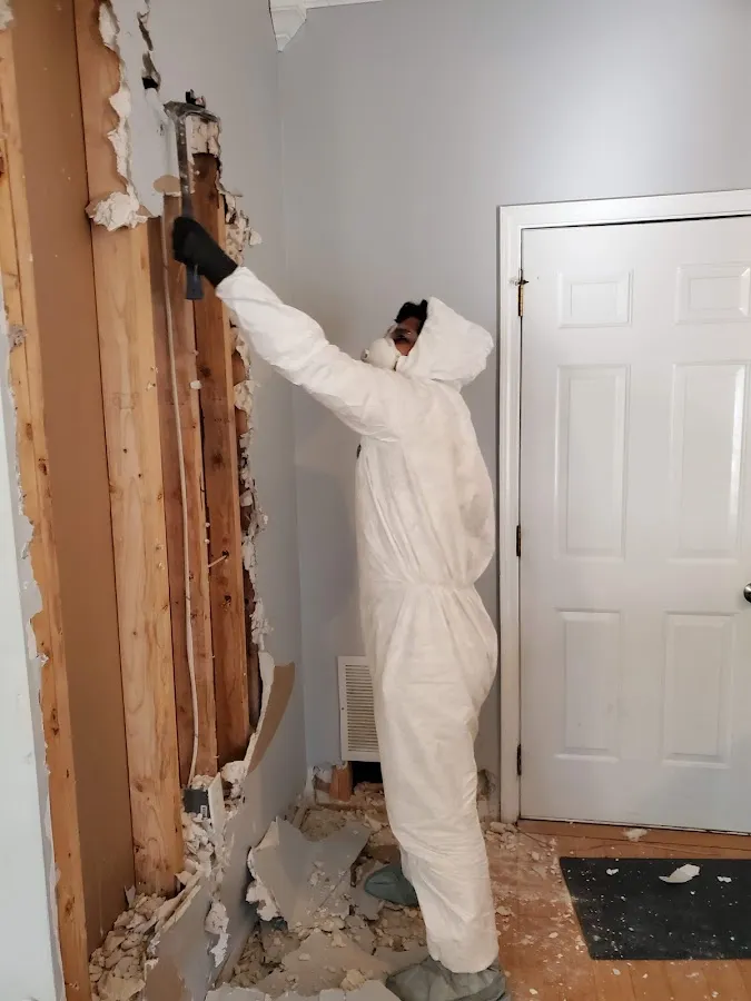 Odor Removal & Deodorization in East Rochester, NY